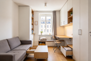 Multi-Functional Furniture & Storage Planning