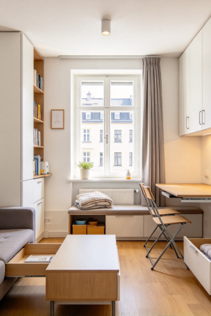 Multi-Functional Furniture & Storage Planning